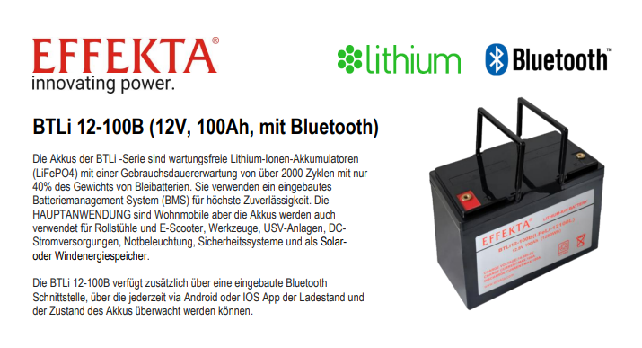 Smart 100Ah 12V Lithium LiFePO4 Batterie Akku