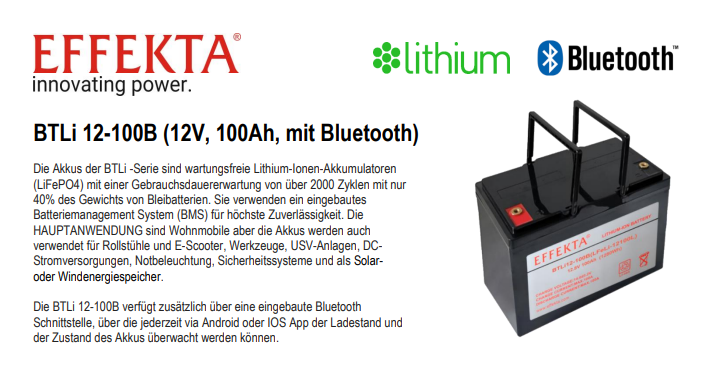 Smart 120Ah 12V Lithium LiFePO4 Batterie Akku